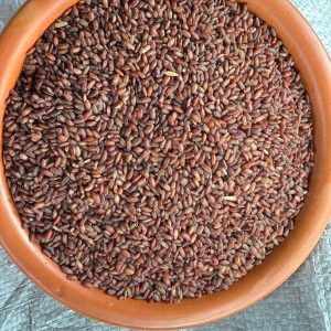 ফুল ফাইবার দীঘা আমন ১০ কেজি